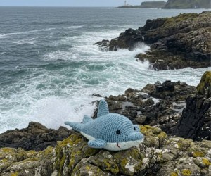 Untitled design - 2026-02-11T112511.461